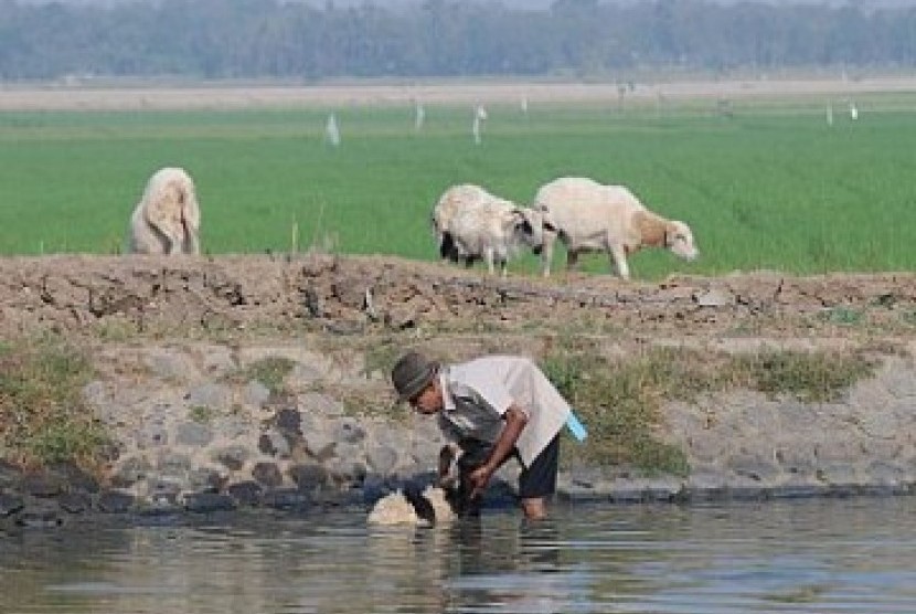 Petani Indonesia. Pemerintah melalui Komite Kredit Usaha Rakyat (KUR) akan menggencarkan penyaluran KUR untuk sektor pertanian nasional pada 2017.