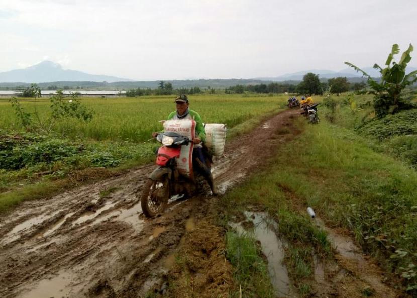 Petani Indramayu tetap melakukan panen raya padi di tengah pandemi corona (ilustrasi). Sejumlah areal pertanian di Kabupaten Indramayu mengalami penurunan kualitas maupun harga gabah yang dipanen. Pasalnya, waktu panen berlangsung di musim hujan.
