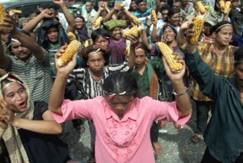 Petani jagung melakukan aksi unjuk rasa menolak kebijakan jagung impor. 