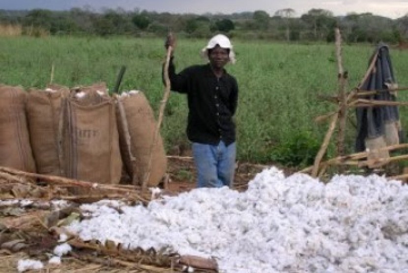 Petani kapas Mozambik