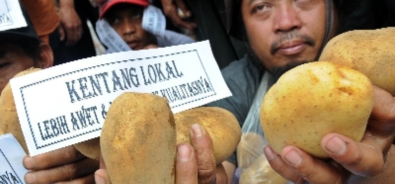 Petani kentang saat berdemonstrasi karena harga kentang anjlok akibat membanjirnya kentang impor.