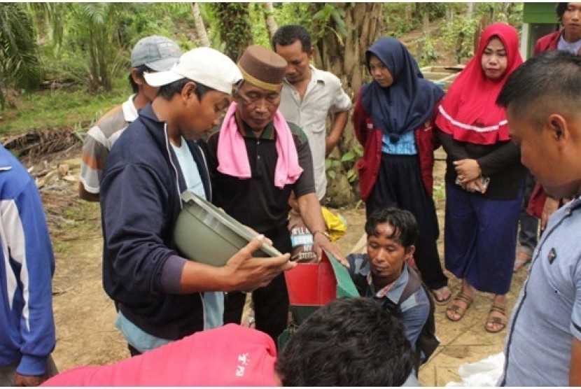 Petani lada di perbatasan Indonesia-Malaysia teparnya di  Desa Bambangan, Kecamatan Sebatik Barat, Pulau Sebatik, mempraktekkan alat  budidaya lada dengan arahan dari tim KKN UMY.