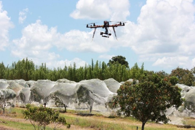 Petani leci Craig Van Rooyen sedang mengembangkan drone pengusir hama. 