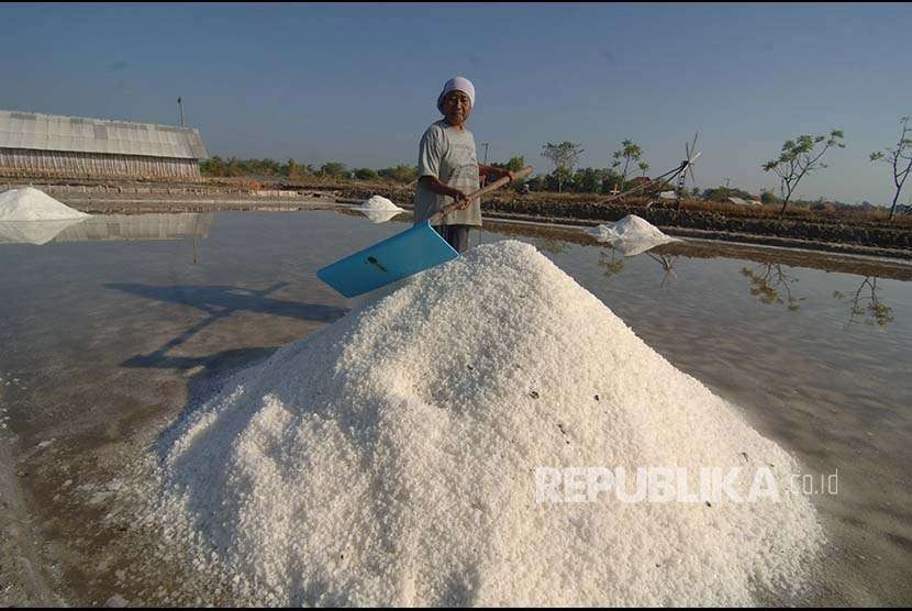 Petani melakukan panen garam di Desa Konang, Pamekasan, Jawa Timur, Selasa (7/8). Harga garam ditingkat petani di Madura turun dari bulan Juni lalu yaitu Rp 2.1 juta menjadi Rp1.1 juta hingga Rp1.3 juta per ton karena mulai musim panen