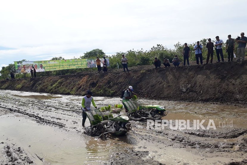 Petani melakukan penanaman padi perdana di lahan cetak sawah baru program 2017 di Desa Tellulimpoe, Kecamatan Marioriawa, Kabupaten Soppeng, Provinsi Sulawesi Selatan, Jumat (17/11).