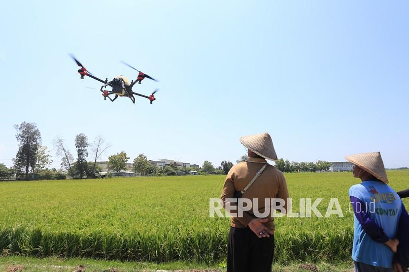 Petani melihat pesawat tanpa awak (Drone) yang digunakan untuk menyemprotkan cairan pestisida di areal sawah, (ilustrasi). Ke depan, aturan main penggunaan teknologi harus dibuat dan dipahami masyarakat pertanian.