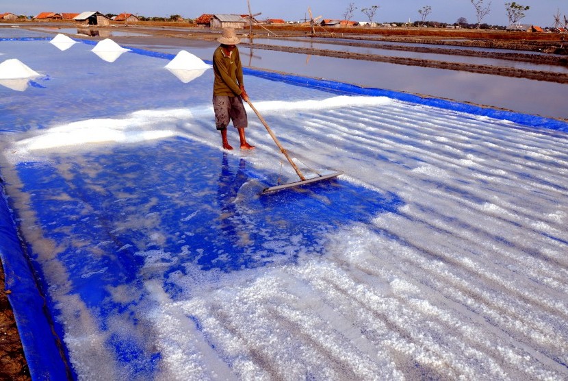 Petani memanen garam di Desa Bunder, Pamekasan, Jawa Timur, Sabtu (27/7/2019). 