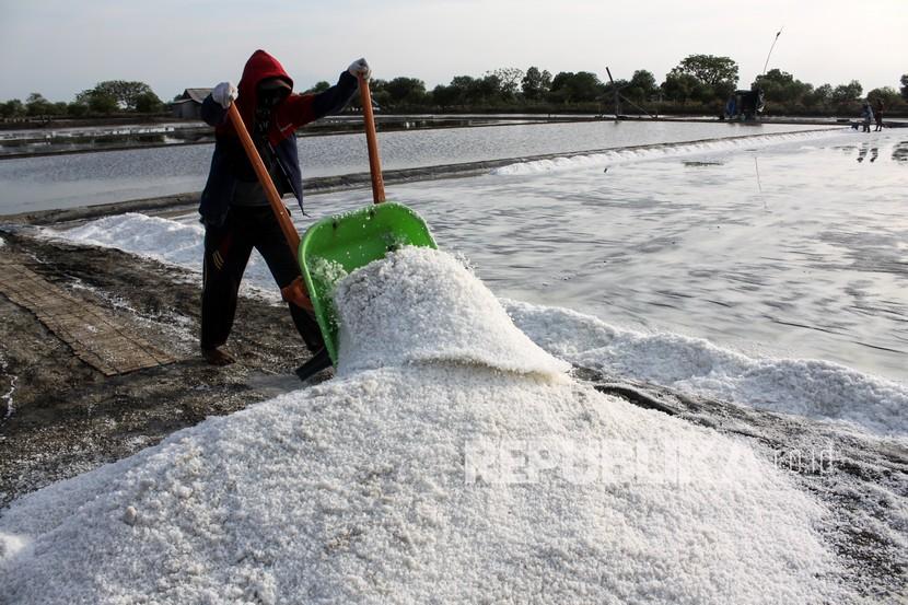 Petani memanen garam, (ilustrasi). LPEI mendorong petani garam untuk menjadi eksportir melalui Program Desa Devisa.