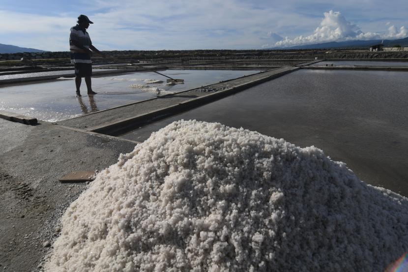 Petani memanen garam di kawasan penggaraman (ilustrasi). DKPP Kabupaten Cirebon, Jawa Barat mendata produksi garam rakyat di daerah ini dalam tiga tahun masih mengalami penurunan dan belum stabil, hal