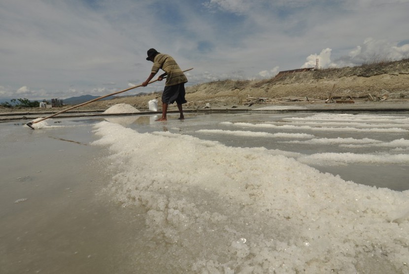 Petani memanen garam di Kawasan Penggaraman Talise, Palu Timur, Sulawesi Tengah, Kamis (17/3). 