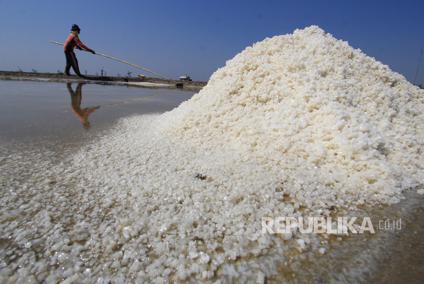 Petani memanen garam di lahan garam desa Santing, Losarang, Indramayu, Jawa Barat, Senin (31/7).