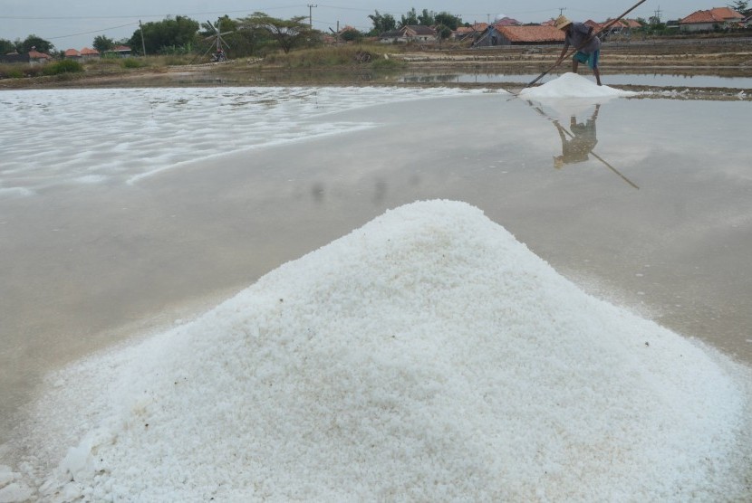 Petani memanen garam perdana pada musim olah tahun 2019 di lahan garam Desa Bunder, Pamekasan, Jawa Timur, Jumat (14/6/2019). 
