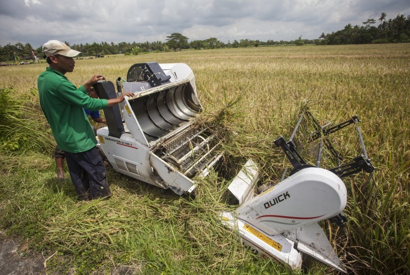 Petani memanen padi dengan mesin.
