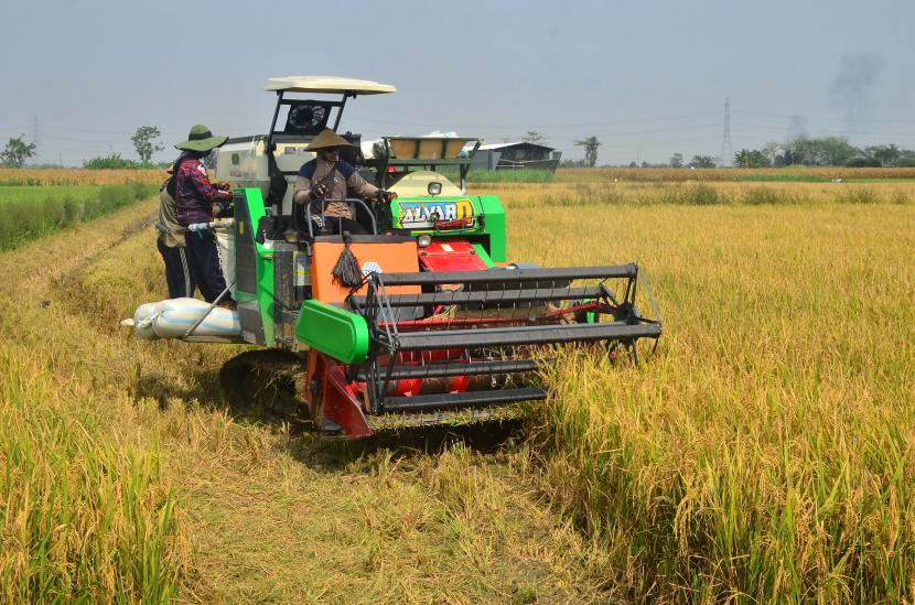 Pemerintah mengantisipasi ancaman krisis pangan. Foto ilustrasi petani memanen padi dengan mesin pemanen.