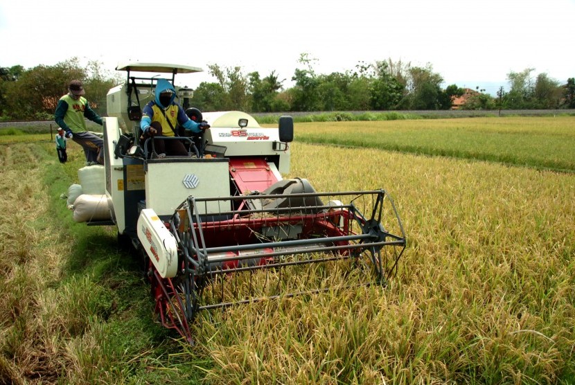 Petani memanen padi menggunakan mesin potong padi modern di areal persawahan Desa Dukuhwringin, Kabupaten Tegal, Jawa Tengah, Sabtu (3/11/2018). 