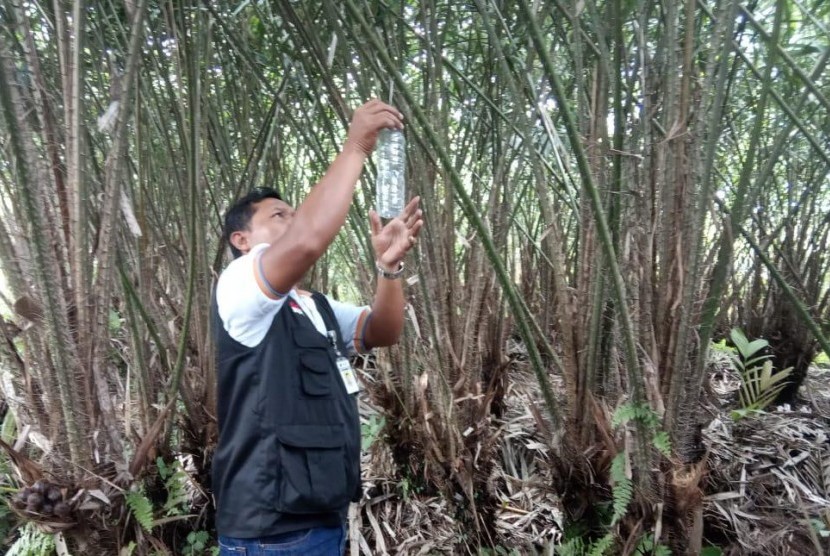 Petani memasang perangkap lalat di Magelang Jawa Tengah