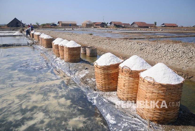 Petani memasukkan garam ke dalam karung saat panen raya di Desa Tanggultlare, Jepara, Jawa Tengah, Sabtu (10/8). Garam di wilayah tersebut dijual Rp35.000 per keranjang atau Rp300 hingga Rp400 per kilogram tergantung kualitas. 