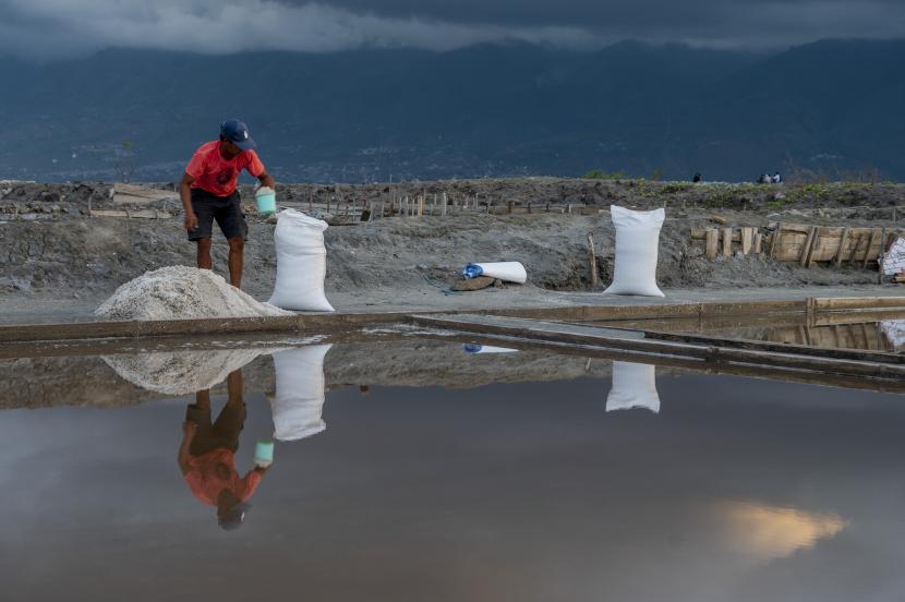 Petani memasukkan garam yang baru dipanen ke dalam karung di Palu, Sulawesi Tengah, Rabu (25/5/2022). Sejumlah petani garam di wilayah itu mengaku mengalami penurunan produksi garam selama tahun ini sekitar 20 persen dibanding sebelumnya karena faktor anomali cuaca.