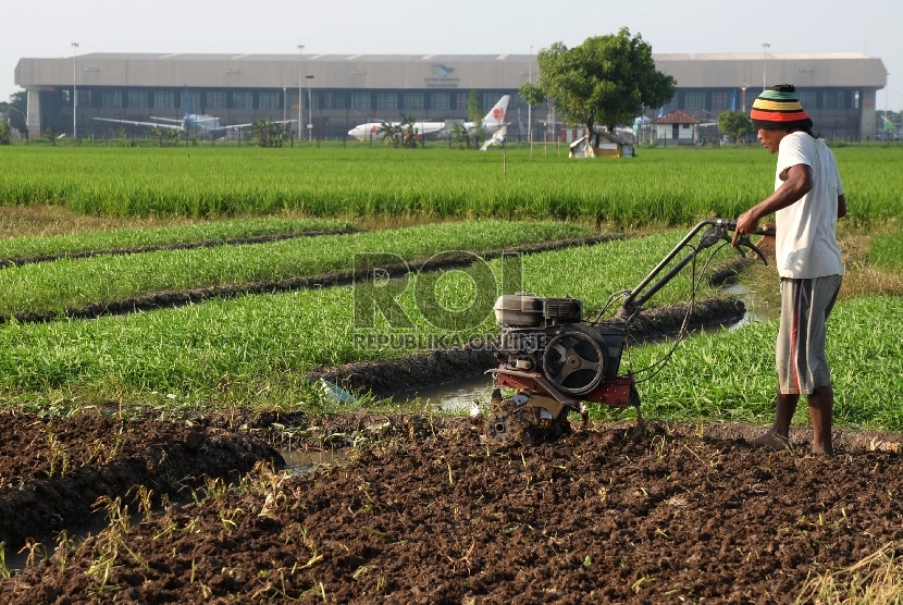 Petani membajak sawah di kawasan Batu Ceper, Tangerang, Banten, Kamis (7/1).