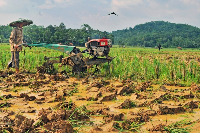 Petani membajak sawah menggunakan traktor di Desa Tambak Baya, Lebak, Banten, Selasa (23/4/2019).