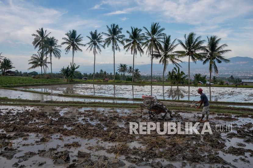 Dampak La Nina diperkirakan masih akan terjadi di Makassar (Foto: ilustrasi)