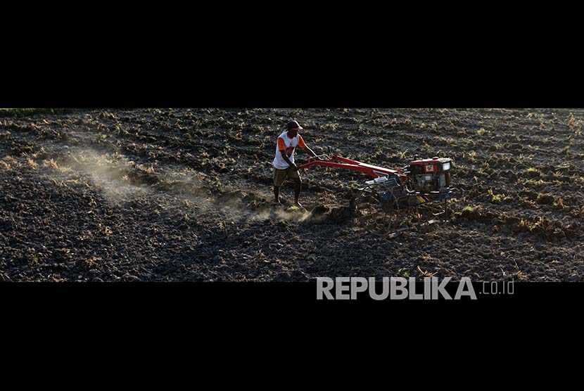 [ilustrasi] Petani membajak sawahnya yang mengalami kekeringan di Persawahan Samata Gowa, Sulawesi Selatan, Selasa (12/9). Fenomena areal sawah yang kering akibat musim kemarau juga terjadi di berbagai wilayah di Indonesia.
