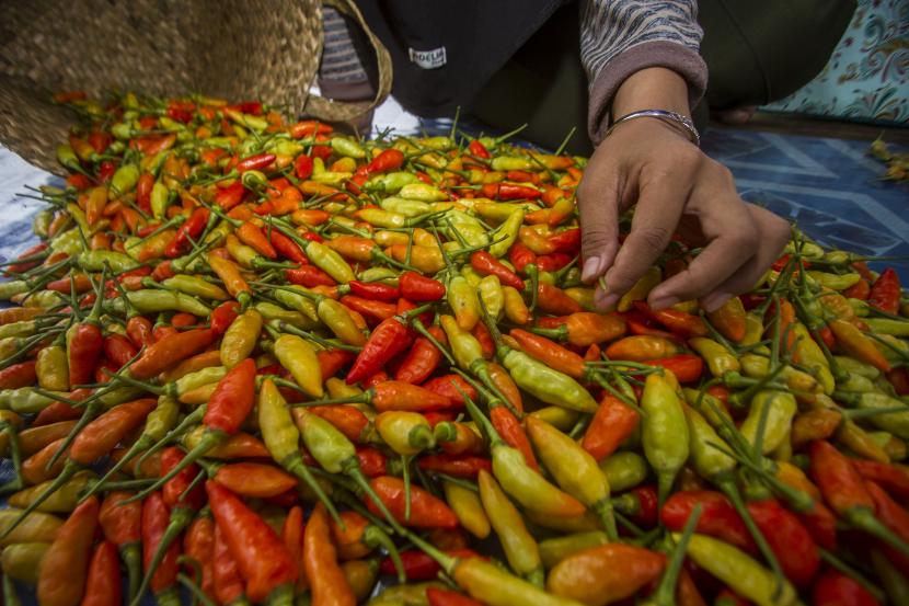 Saat ini, harga cabai rawit merah Rp 50.000 per kilogram di pasar Jakarta Barat.