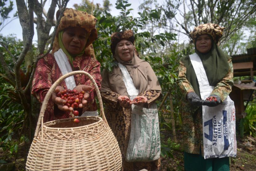 Petani memindahkan buah kopi ke dalam keranjang saat panen pada Festival Panen Kopi di Dataran Tinggi Gayo, Desa Paya Tumpi Baru, Kabupaten Aceh Tengah, Aceh, Ahad (18/9/2022). 