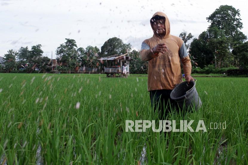 Petani memupuk sawahnya di area persawahan Somba Opu, Kabupaten Gowa, Sulawesi Selatan, Sabtu (30/1/2021). Kementerian Pertanian menetapkan alokasi pupuk bersubsidi tahun 2021 sebesar sembilan juta ton serta 1,5 juta liter pupuk organik cair untuk memenuhi kebutuhan petani. 