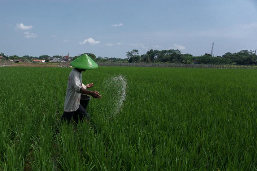 Pupuk Indonesia Grup selaku perusahaan bidang nutrisi tanaman dan solusi pertanian menghadirkan inovasi berupa Program D'Komposer yang merupakan pendampingan petani dalam penggunaan bahan organik tanah untuk memperbaiki kualitas unsur hara tanah, (ilustrasi).
