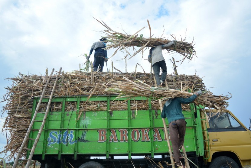 Petani menaikkan tebu ke atas truk saat panen di kawasan Tulangan, Sidoarjo, Jawa Timur, Selasa (26/9). Petani tebu mengeluhkan rendahnya harga acuan gula petani atau harga pembelian pemerintah (HPP) pabrik gula sebesar Rp 9.300 per kg yang dinilai masih di bawah Biaya Pokok Produksi (BPP) sebesar Rp 10.600 per kg.