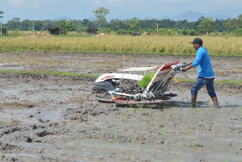 Petani menanam padi menggunakan mesin di Ponorogo, Jawa Timur, Jumat (8/4). 