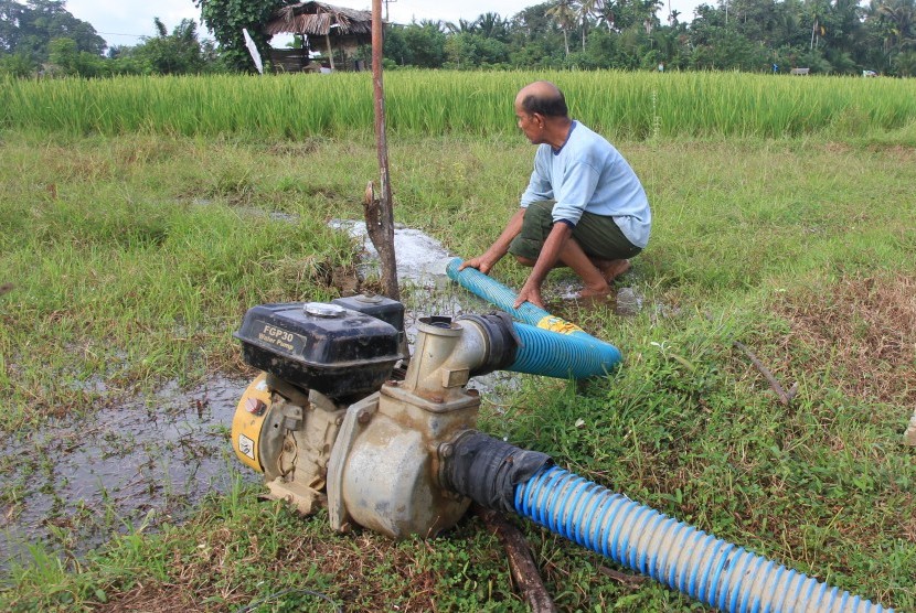Petani mengairi sawah yang dilanda kekeringan dengan menggunakan mesin pompa air di Desa Rantoe Panjang Barat, Meureubo, Aceh Barat, Aceh, Selasa (9/7/2019).