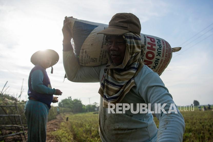 Petani mengangkut karung berisi gabah hasil panen di Desa Kertawaluya, Kabupaten Karawang, Jawa Barat, Selasa (18/5/2021). Indonesia masih punya ketergantungan pada impor untuk memenuhi kebutuhan pangan.