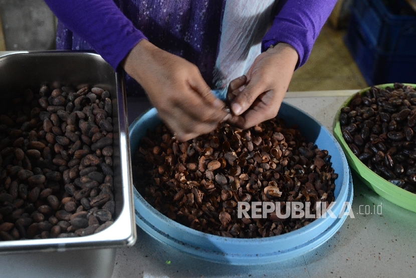 Petani mengupas bibiji kakao sebagai proses untuk dibuat coklat di perkebunan Gambiran, Bunder, Patuk, Gunung Kidul, Yogyakarta, Sabtu (1/10).