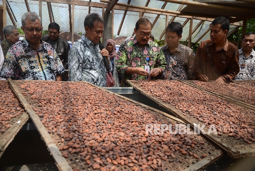  Petani menjemur biji kakao hasil panen di perkebunan Gambiran, Bunder, Patuk, Gunung Kidul, Yogyakarta, Sabtu (1/10).