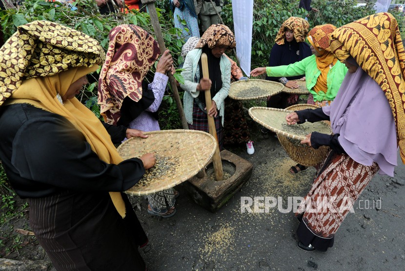Petani menumbuk dan menampi kopi arabika seusai panen massal dalam rangkaian festival panen kopi gayo di Rembele, Bener Meriah, Aceh, Rabu (21/11/2018). 
