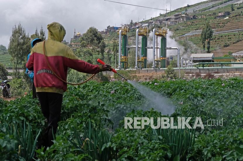 Petani menyemprot tanaman kentang di sekitar instalasi PLTP PT Geo Dipa Energi kawasan dataran tinggi Dieng, desa Kepakisan, Batur, Banjarnegara, Jateng, Sabtu (14/8/2021).