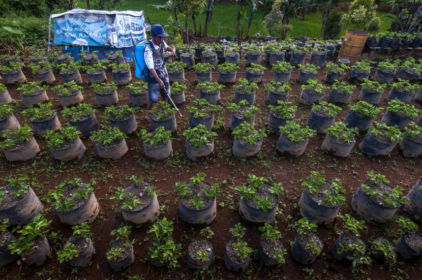  Dinas Pertanian (Distan) Provinsi Banten meminta petani mengoptimalkan pembuatan dan pemakaian pupuk organik. (ilustrasi).