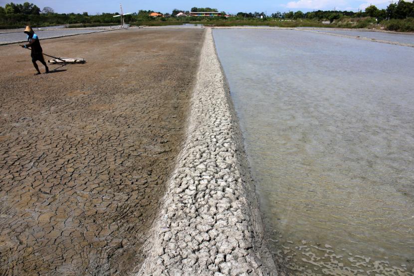 Petani menyiapkan lahan garam di Desa Pesanggrahan, Bangkalan, Madura, Jawa Timur, Selasa (12/7/2022). Memasuki musim kemarau sejumlah petani garam di kawasan itu mulai menggarap lahan garam mereka. 