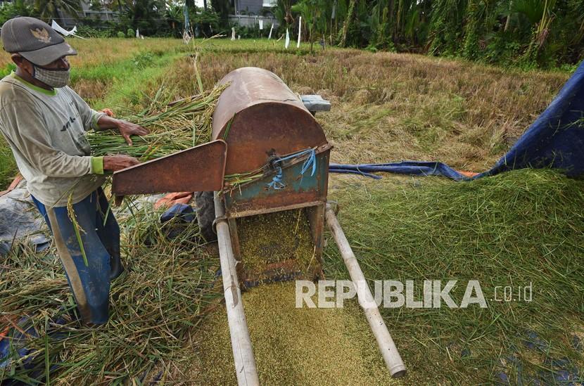 Petani merontokan padi yang baru dipanen di Kampung Tembong, Cipocok, Serang, Banten, Sabtu (6/2). Komisi IV DPR, menolak rencana pemerintah untuk membuka keran impor beras sebanyak 1 juta ton oleh Perum Bulog. 