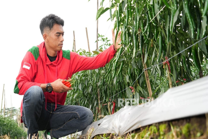 Petani milenial Obur Bahtiar.