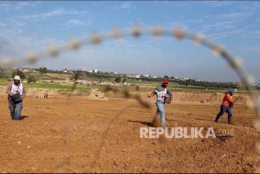 Petani Palestina menebarkan bibit gandum di sebuah ladang di perbatasan Israel - Garza di Jalur Gaza setelah hampir 14 tahun tidak bisa mengakses lahan ini. Program ini di dibantu Komite Palang Merah Internasional (ICRC) bekerja sama dengan pemerintah Palestina pimpinan Hamas.