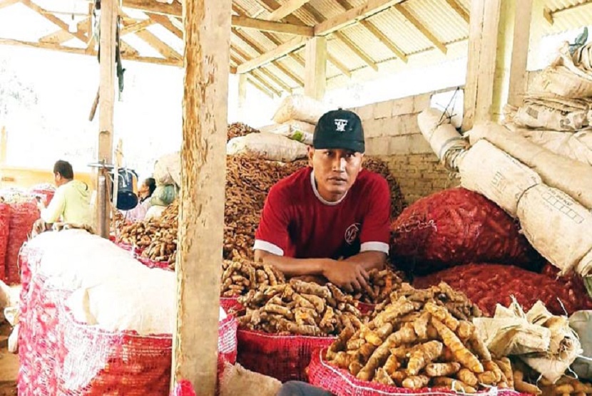 Petani rimpang alami peningkatan permintaan pasar yang memicu peningkatan harga jual