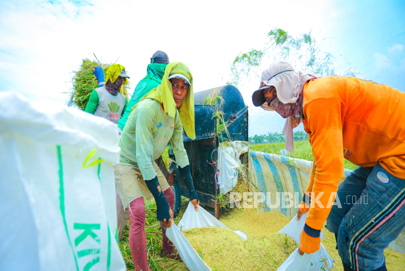 Stok Beras Mendekati 4 Juta Ton, Komisi IV Apresiasi Kinerja Produksi Pangan Mentan Amran