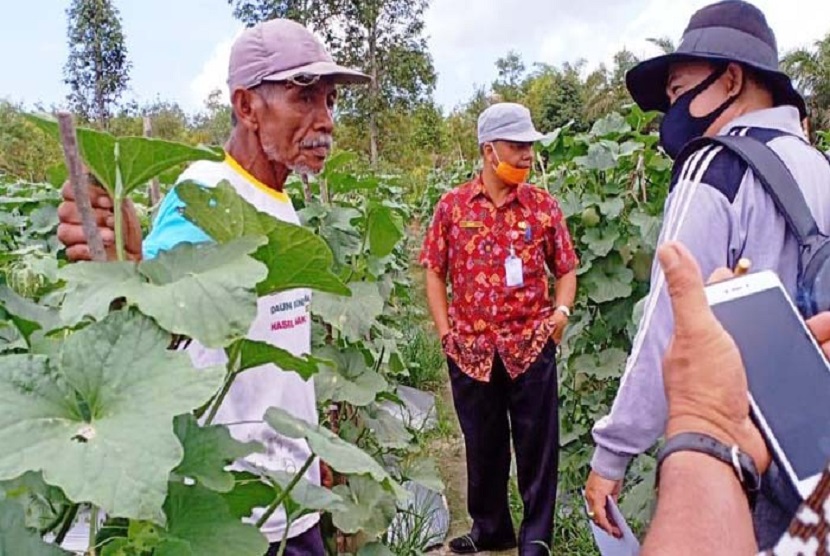 Petani Semangka Barito mampu meraup pendapatan Rp 1 miliar per 0,25 ha lahan