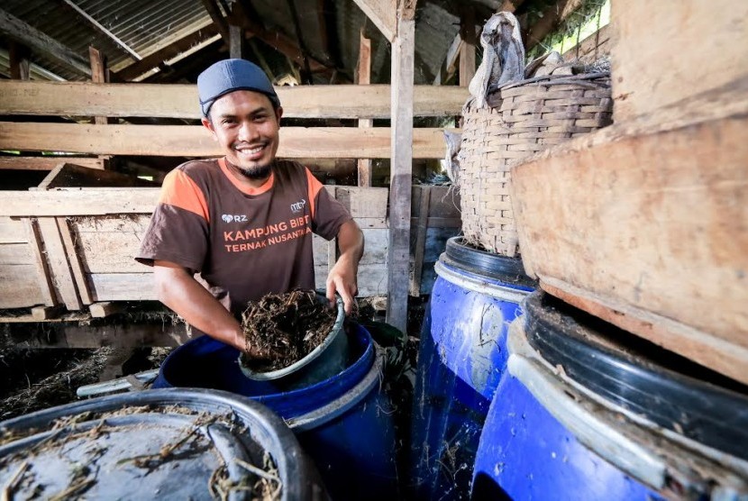 Petani Subang membuat program silase agar tak kekurangan pakan saat musim kemarau.