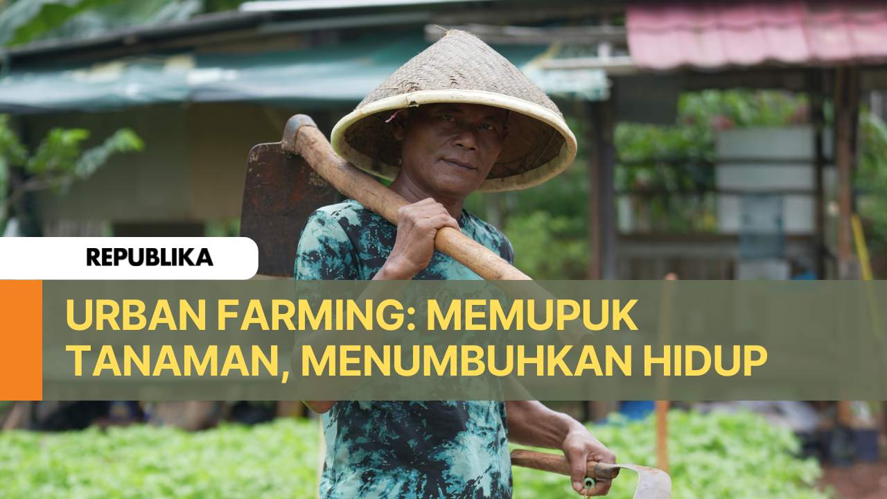 Petani Urban Farming: Memupuk Tanaman, Menumbuhkan Masa Depan