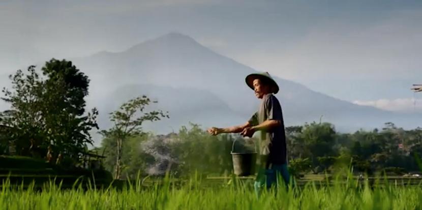 Petani (ilustrasi).  Krisis pangan menjadi salah satu persoalan yang harus deselesaikan bersama pada perhelatan Konferensi Tingkat Tinggi (KTT) G20 di bali pada 15-16 November mendatang. 