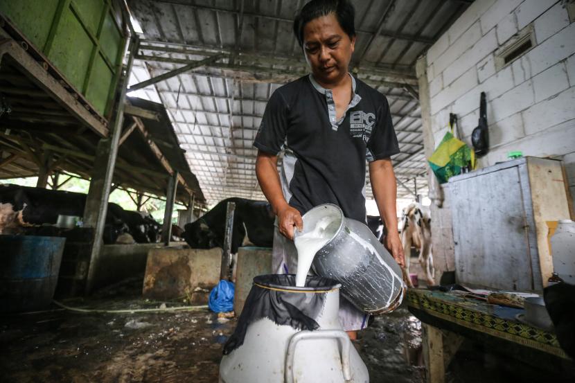 Wakil Ketua DPR Bidang Industri dan Pembangunan (Korinbang) Saan Mustopa mengatakan, peternak susu sapi lokal harus memperoleh perhatian khusus. (ilustrasi)